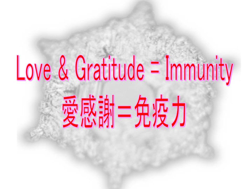 A snowflake with the words love and gratitude = immunity in chinese.