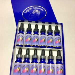 A box of 1 2 bottles of liquid with blue lids.