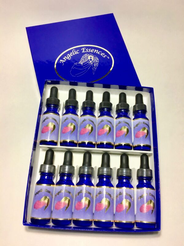 A box of 1 2 bottles of liquid with blue lids.