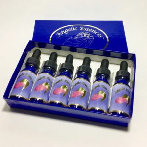 A box of six bottles of liquid with blue lids.