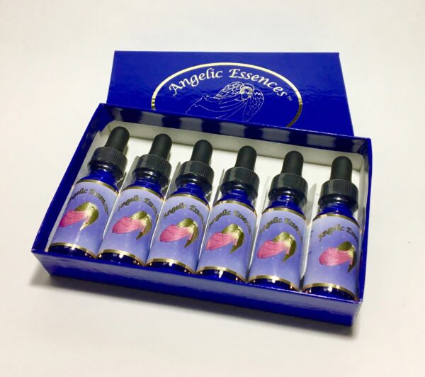 A box of six bottles of liquid with blue lids.
