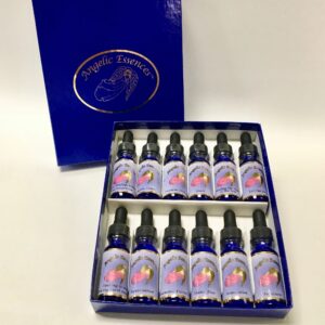 A box of 1 2 bottles of liquid with blue lid.