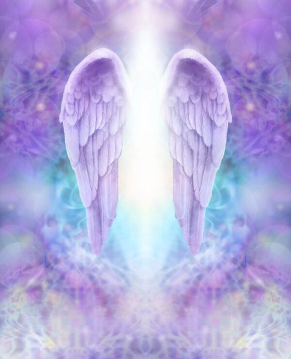 A pair of angel wings with a light shining through them.