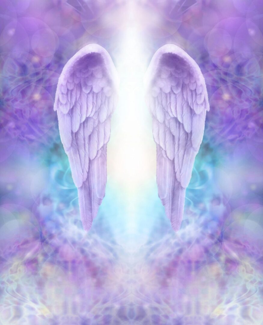 A pair of angel wings with a light shining through them.